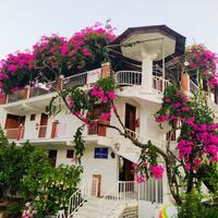 Genel Görünüm Galerisi