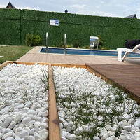 Havuz & Plaj Galerisi