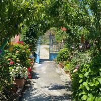 Bahçe & Oturma Alanları Galerisi