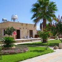 Genel Görünüm Galerisi