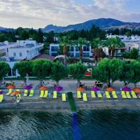 Havuz & Plaj Galerisi