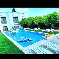 Genel Görünüm Galerisi