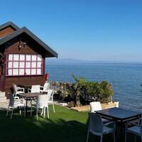 Genel Görünüm Galerisi