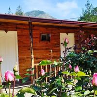 Genel Görünüm Galerisi