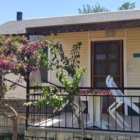 Genel Görünüm Galerisi