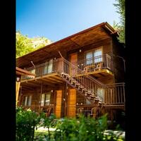 Genel Görünüm Galerisi