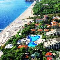 Genel Görünüm Galerisi