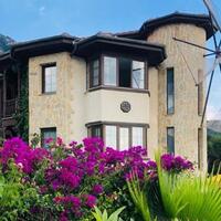 Genel Görünüm Galerisi