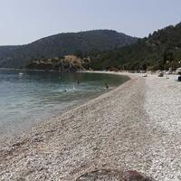 Havuz & Plaj Galerisi