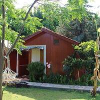 Genel Görünüm Galerisi