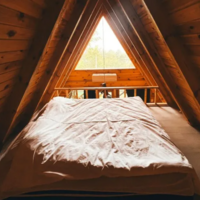 Oda Özellikleri Galerisi