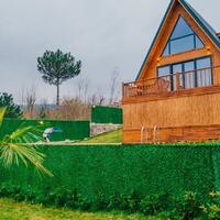 Genel Görünüm Galerisi