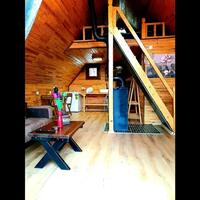 Oda Özellikleri Galerisi