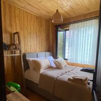 Oda Özellikleri Galerisi