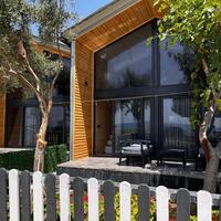 Genel Görünüm Galerisi