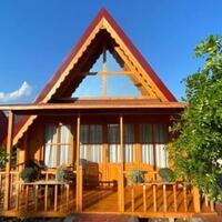 Genel Görünüm Galerisi