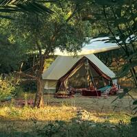 Genel Görünüm Galerisi