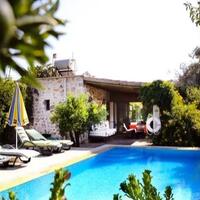 Havuz & Plaj Galerisi