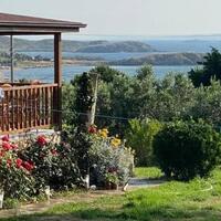 Genel Görünüm Galerisi