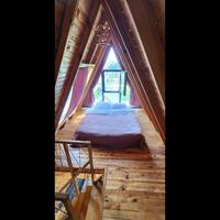 Oda Özellikleri Galerisi