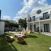 Genel Görünüm Galerisi