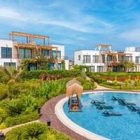 Genel Görünüm Galerisi