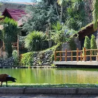 Bahçe & Oturma Alanları Galerisi