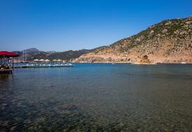 Palmetto Resort Hotel