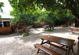 Olympos Doğa Pansiyon