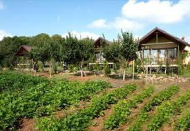 Doğa Şara Butik Hotel