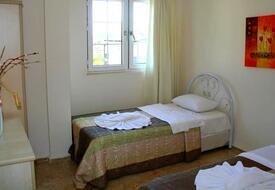 Dream Of Holiday Palm