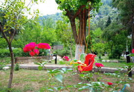 Stone House Çıralı