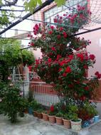 Kilitbahir Eriş Apart