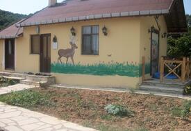 Ağva Tree House