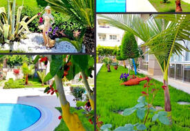 Sevil Sultan Homes Classic