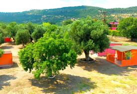 Assos Apollon Bungalow Restaurant