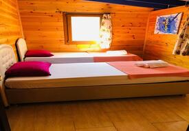 Botanik Ahşap Evler