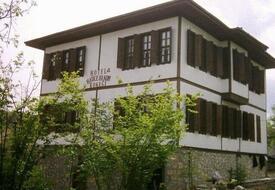 Hatice Hanım Konakları