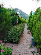 Adrasan Maldivler Bungalow Apart Evleri