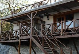 Mavi At Hotel Blue Horse