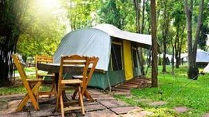 Dikili Papaya Evleri