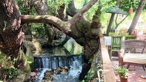 Pavelin Yeri Butik Otel