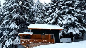 Başkonuş Yaylası Orman Evleri