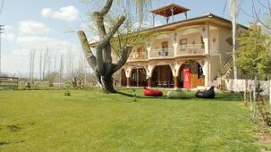 Sultan Pansion Bird Paradise