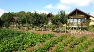 Doğa Şara Butik Hotel