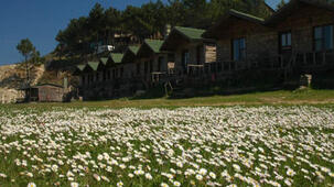 Woodyville Tree Houses and Cowboy City