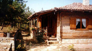 Salıcı Evi