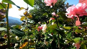 İztuzu Seaview Villa