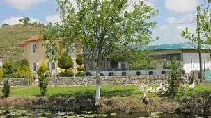 Defne Pansiyon Ağaç ve Apart Evler