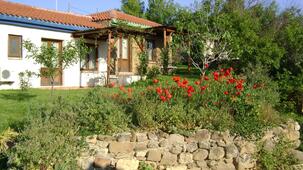 The Gallipoli Houses